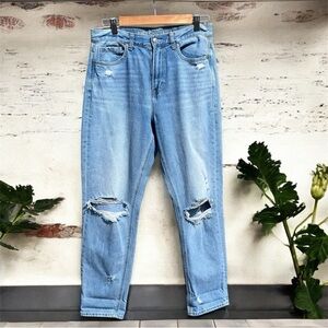 American Eagle 🦅 Distressed MOM Jeans